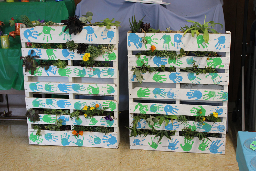 colorful racks with plants at a Preschool & Daycare Serving El Cajon, Lakeside and Santee CA