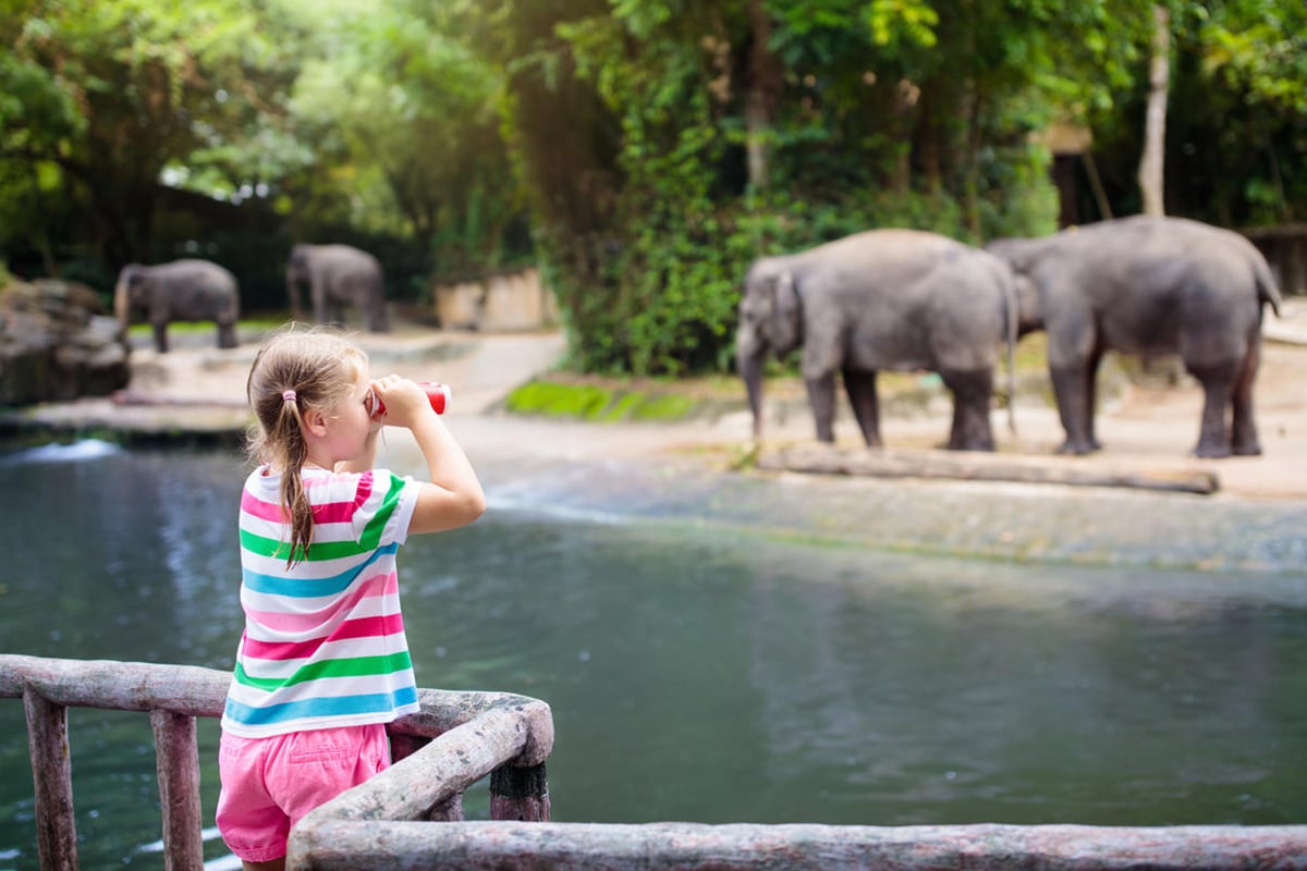 Exciting Field Trips Boost Your Child’s Learning